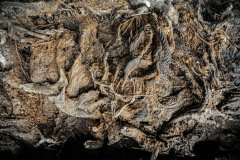 Thousands of illegally disposed and decomposing mink bodies. Sweden, 2009.