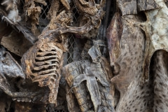 Skins and bones at a Muti market, Johannesburg. South Africa, 2016.