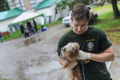 A dog  being rescued from a puppy mill. Canada, 2015.