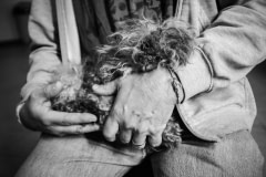 A rescued puppy mill dog with a Montreal SPCA volunteer. Canada, 2010.