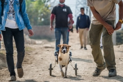 Rehabilitation at Sneha's Care. Nepal, 2017.