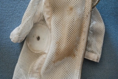 A used animal restraint vest. USA, 2008.