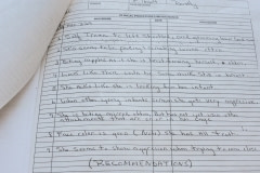 Notes on chimpanzee behaviour while they are kept for invasive research. USA, 2011.