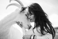 Keiko and Shiro at BeakOnHill Sanctuary. USA, 2014.