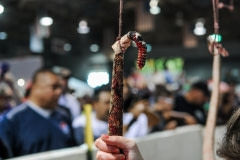 Snake dismemberment station. USA, 2015.
