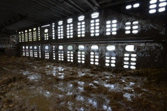 The inside of a transport truck after it has been emptied of cattle. Canada, 2014.