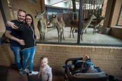 Lechwe and visitors at a zoo in Germany.