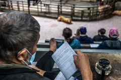 An experienced buyer watches the list of pigs that move through an auction room at a slaughterhouse. Taiwan, 2022. Ron Chiang / We Animals Media