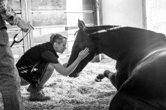A barn manager comforts Lakota, a rescued Thoroughbred horse at Saffyre Sanctuary. USA, 2022. Alexis Liohn / Saffyre Sanctuary Inc. / We Animals Media