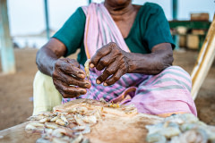 A local female fishmonger deveins shrimps and prawns who were recovered from fishing bycatch. India, 2022. S. Chakrabarti / We Animals Media