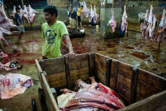 In a slaughterhouse in Motijheel in Dhaka, a butcher leans on the wooden trailer of a rikshaw, waiting to fill it with meat products to be transported to customers across the city.
