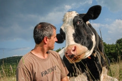 Gene rescued Opie from a pile of dead animals when he was a calf. Farm Sanctuary, USA, 2007.