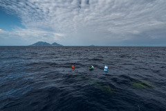 Fishing Aggregating Device (FAD) in Thyrrenian Sea. Oftentimes, poachers construct them from used, empty chemical containers.