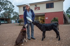 Ruby and Phoenix with Edgar's Mission sanctuary founder Pam Ahern. Phoenix was rescued from the Australian bushfires.