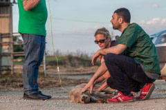 Lesley Moffat and a local vet, Ibrahim Sarigöz, examine a calf in distress at the Bulgarian-Turkish border. Turkey, 2018.