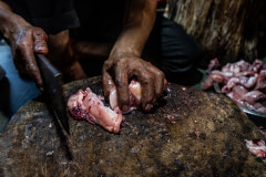 A butcher is cutting a freshly slaughtered chicken into bite size pieces for the customer. An old, thick wooden stump is used as the table for the cutting. India, 2021. S. Chakrabarti / We Animals Media