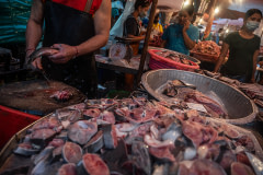 A fishmonger beheads a fresh Nile tilapia for a customer at a wet market in Thailand. A large pile of catfish fillets is in the foreground.
