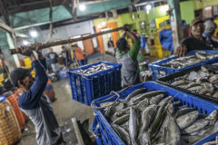 Workers at a fish market in Indonesia unload crates of dead milkfish from a transport truck.