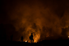 Wildland Firefighter crews work throughout the night as they backburn areas of the Caldor Fire to prevent further spread.