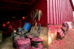 An evacuated barn covered in red fire retardant. The ammonium phosphate in the powder reacts with vegetation and wood, so that instead of providing fuel to the fire, it will decompose and give off water vapor.