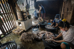 Workers process the carcasses of dead ducks inside a small scale slaughterhouse. Indonesia, 2021. Haig / Act for Farmed Animals / We Animals Media