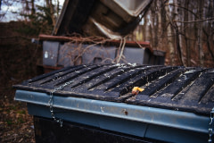 The severed foot of a Pekin duck sits atop the lid of a dumpster a few hundred meters from the barns at a Brome Lake Ducks facility in Racine, Quebec. Canada, 2022. Victoria de Martigny / We Animals Media
