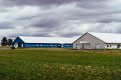 Two enormous barns housing thousands of Pekin ducks sit in a field in Racine, Quebec. Canada, 2022. Victoria de Martigny / We Animals Media