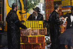 Hasidic Jewish men converse next to an open crate of chickens in front of transport trucks. USA, 2022. Molly Condit / We Animals Media