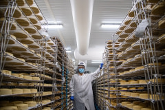 Miyoko's Creamery founder Miyoko Schinner poses in a refrigerated room full of aging cashew cheeses.