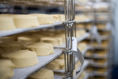 Racks of plant-based cheese at Miyoko's Creamery.