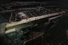 A mix of grain and fish meal sits in a clump on top of a mink cage at a fur farm.