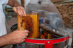After manually shaving wax from collected honeycomb frames at his honey production apiary, a honey producer quickly places them into a machine that will spin them at high speed to extract the remaining honey. 