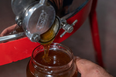 Filtered honey flows into a jar from an extraction machine to be packaged and sold by a honey producer. 