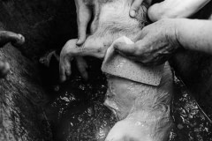 Washing the body of Shmuel, a rescued piglet who did not survive. Australia, 2013. Jo-Anne McArthur / Animal Liberation Victoria / We Animals Media