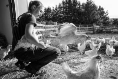 Hens touching down on grass for the first time. USA, 2013. Jo-Anne McArthur / We Animals Media