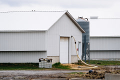 Hoses hang from the back of barns at a duck farming facility. Canada, 2022. Victoria de Martigny / We Animals Media
