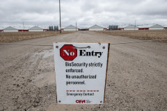 A biosecurity sign announces that no pedestrians or vehicles should enter a large chicken farm while the highly pathogenic avian flu virus H5N1 is in the area. Canada, 2022. Jo-Anne McArthur / We Animals Media