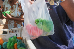 Dyed chicks being sold at the side of the road.