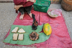 Bird, meat, and produce. Laos, 2008.