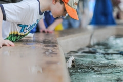 A child and a sting ray at Sea World. USA, 2011.
