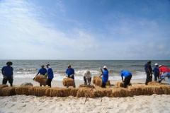 During the oil spill, many unemployed fishermen were hired on contract by BP to help with the cleanup. Dauphin Island, Alabama. USA, 2010.