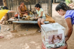 Tourists pay extra to have their photo taken with tiger cubs. Thailand, 2008.