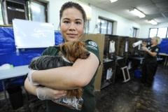 HSI staff member and a dog rescued from a puppy mill. Canada, 2015.