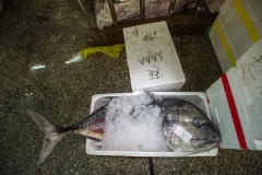 Fish for sale at a market. Taiwan, 2019.