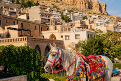 Renkli boncuklar ve püsküllerle süslenmiş bir at, turistlerin eğlenmesi için kullanılmayı bekliyor. Eski Mardin, Mardin İli, Güneydoğu Anadolu Bölgesi, Türkiye, 2023. Havva Zorlu / We Animals Media