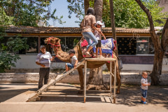 Popüler bir turizm merkezinin dışında eğlence için kullanılan bir deve, bir platformun yanında dururken bir kadın ve çocuk sırtına tırmanıyor. Kepez, Antalya, Antalya İli, Akdeniz Bölgesi, Türkiye, 2023. Havva Zorlu / We Animals Media