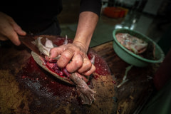 A worker cuts off a shell while turtle is still alive at a market. Taiwan, 2019. Jo-Anne McArthur / We Animals Media