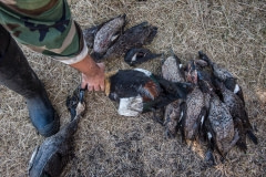 A duck hunter with his kill. Australia, 2017.