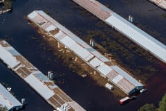 Aerial view of a CAFO farm surrounded by flood waters in Duplin County. North Carolina, USA.