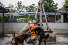 Win Zaw 37, has worked at Soi Dog since 2016 and his job as a caretakers is to look after the dog’s well-being. He has an extreme passion for his job and every time he enters the shelter, the dogs shower him with love. Thailand, 2019. Justin Mott / Kindred Guardians Project / We Animals Media